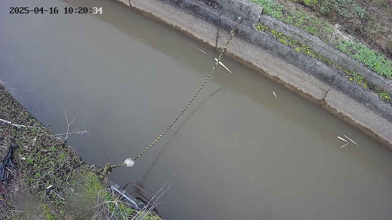area10-20250416102035.jpg