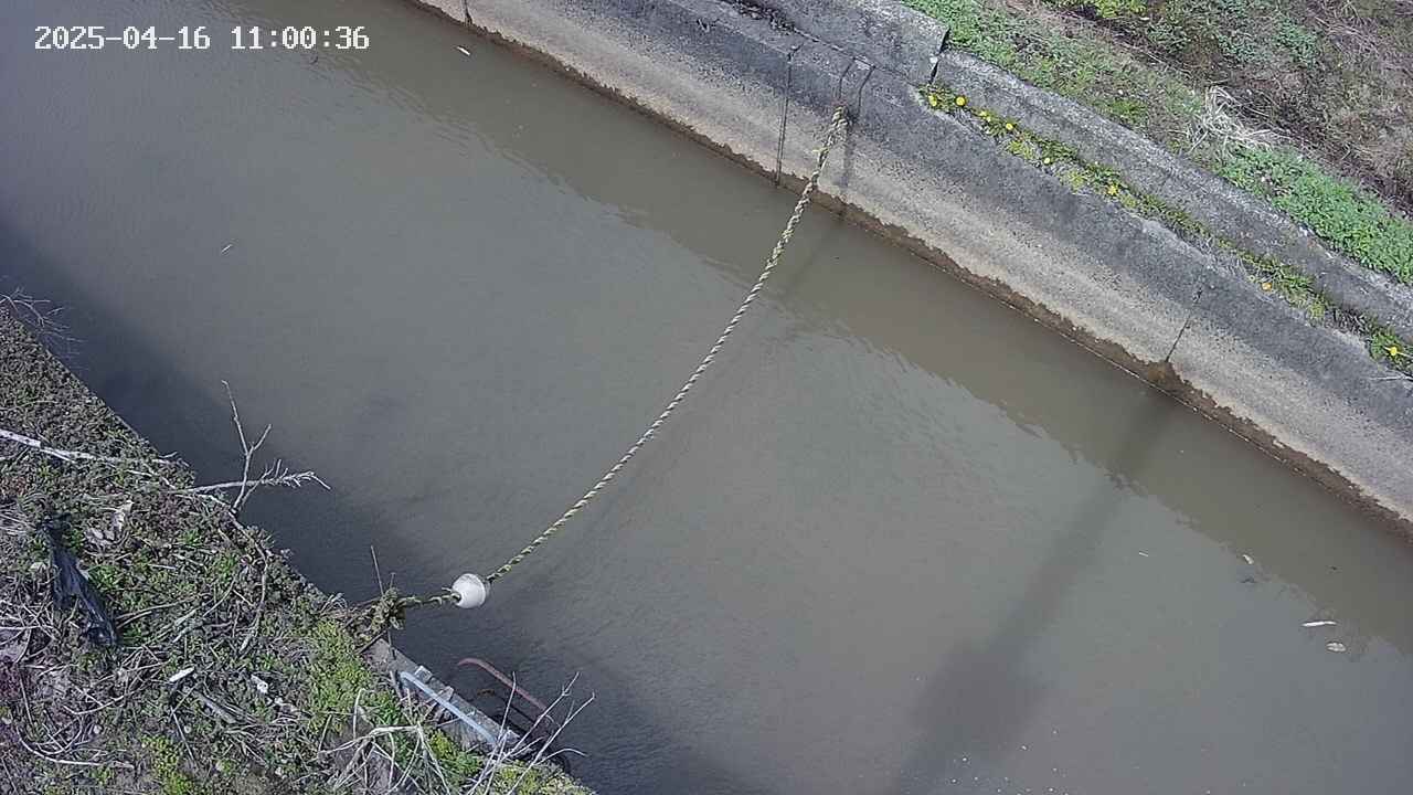area10-20250416110037.jpg