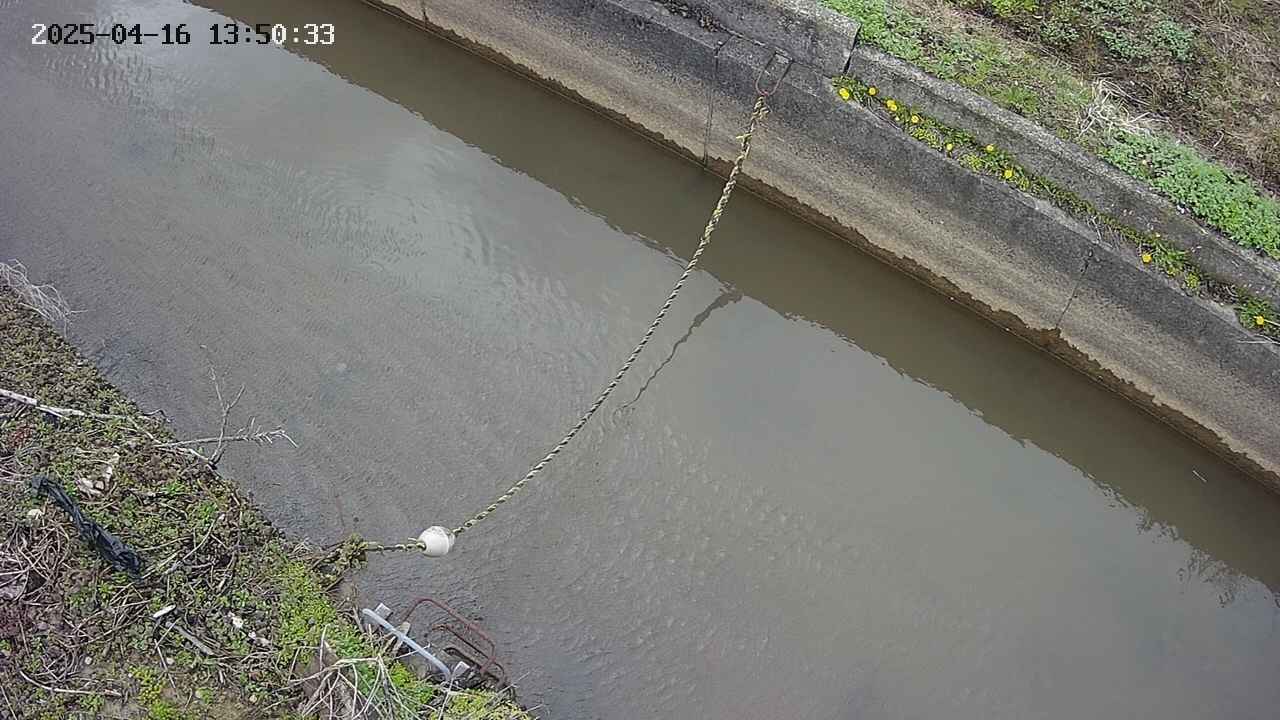area10-20250416135034.jpg