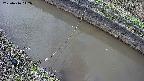 area10-20250416142037.jpg