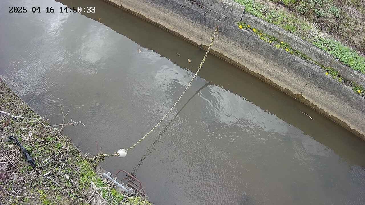 area10-20250416145034.jpg