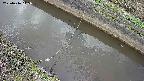 area10-20250416145034.jpg