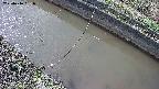 area10-20250416151034.jpg