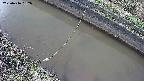area10-20250416152037.jpg