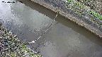 area10-20250416162036.jpg