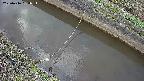 area10-20250416164035.jpg