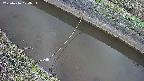 area10-20250416174035.jpg