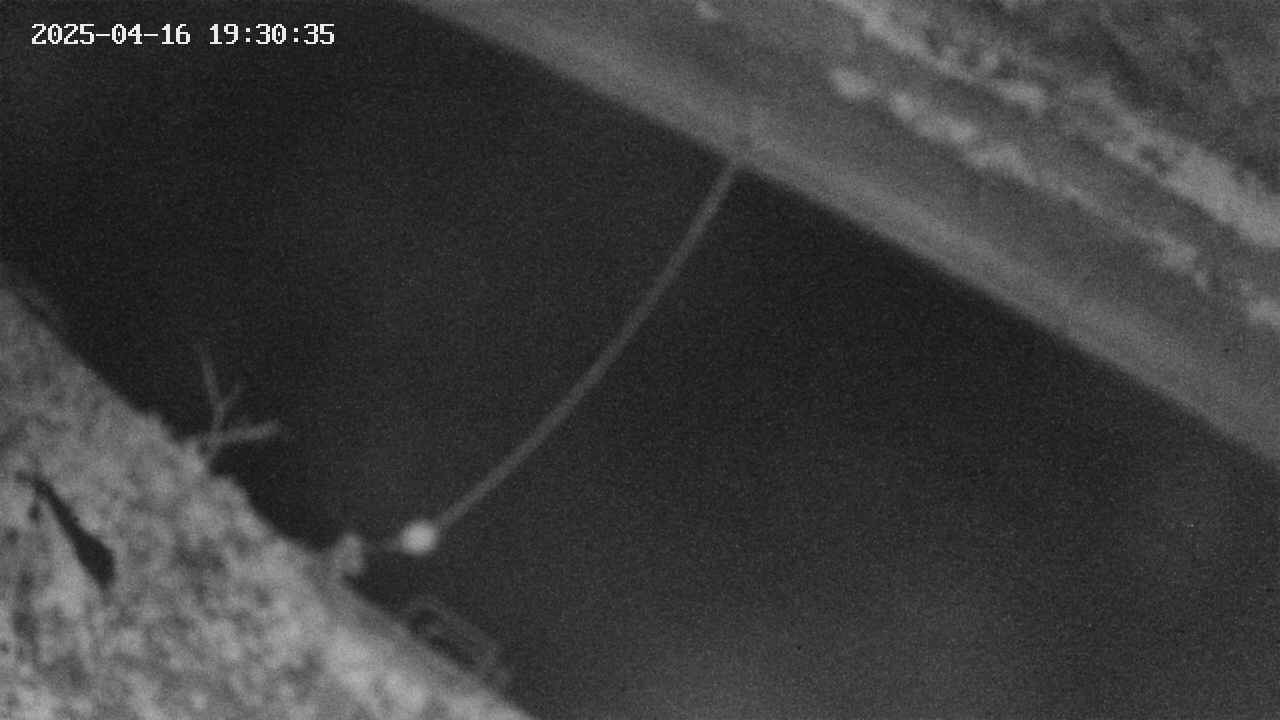 area10-20250416193035.jpg