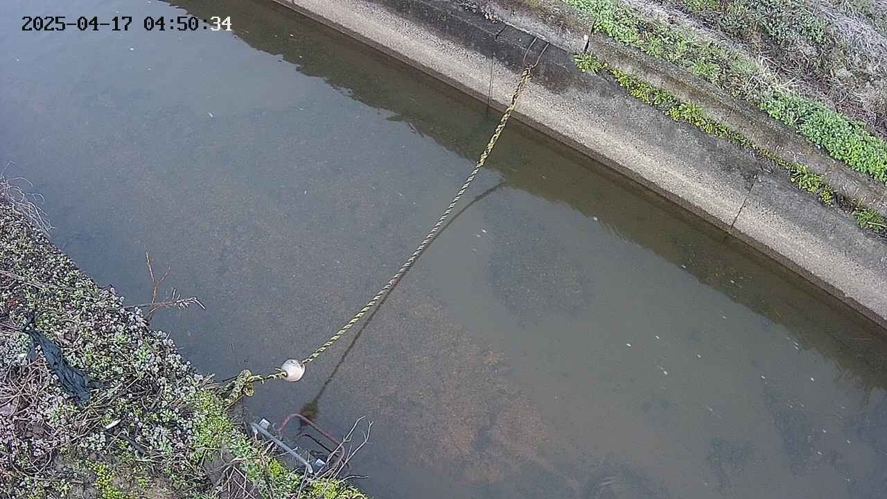 area10-20250417045035.jpg
