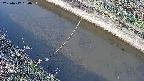area10-20250417060035.jpg