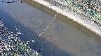 area10-20250417061036.jpg