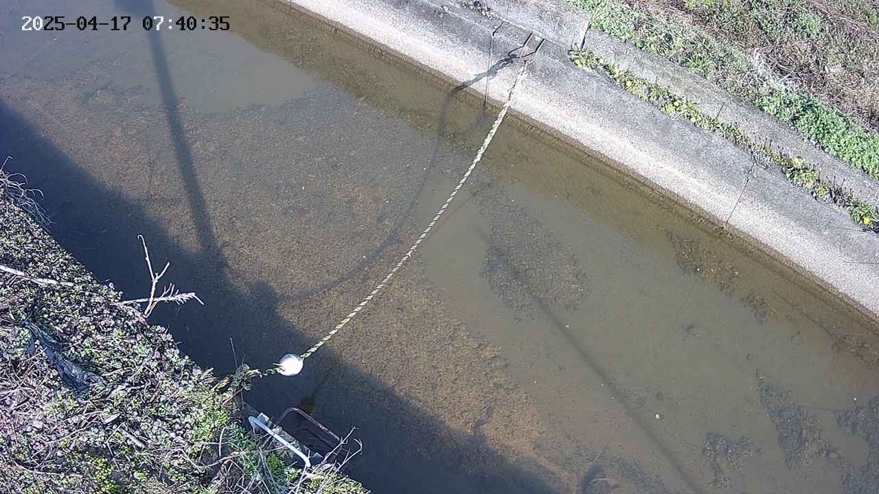 area10-20250417074035.jpg