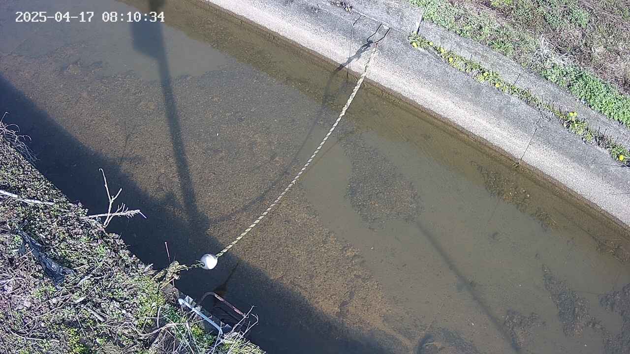 area10-20250417081035.jpg