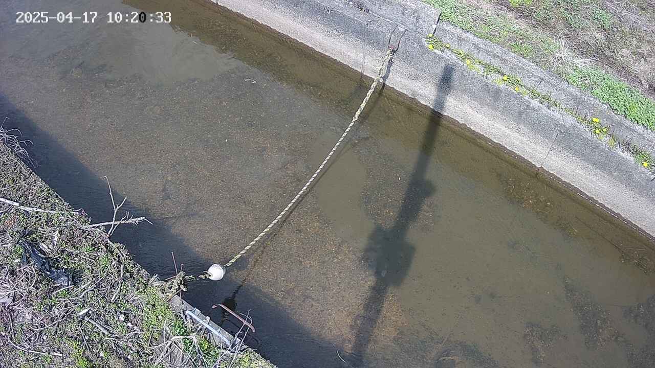 area10-20250417102034.jpg