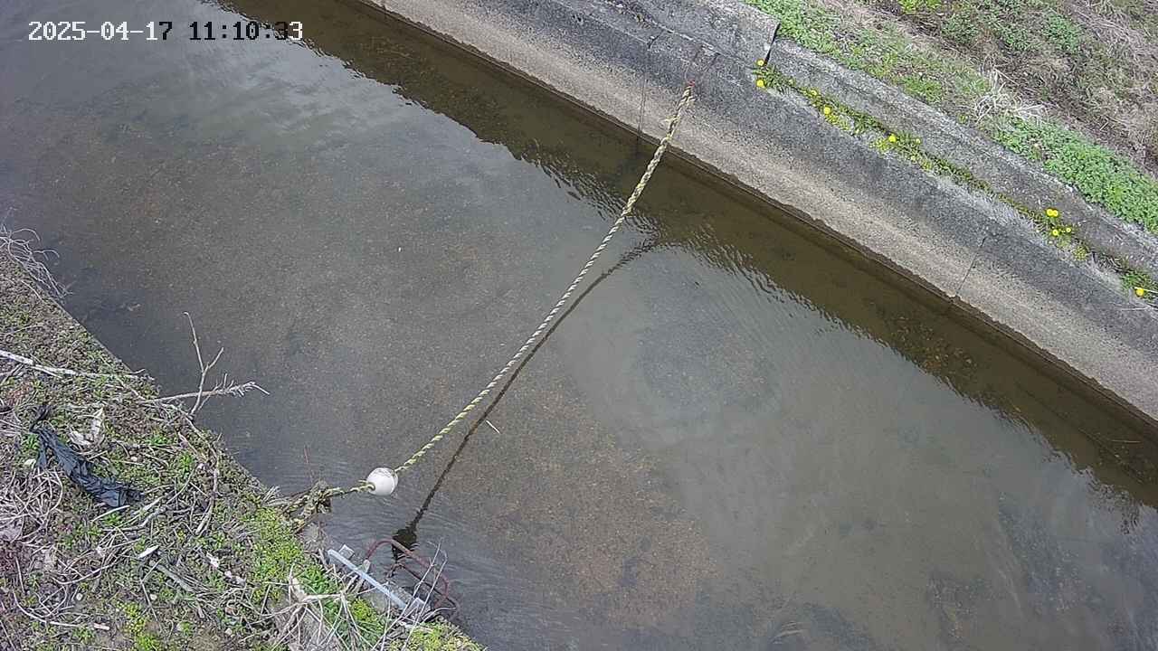 area10-20250417111034.jpg