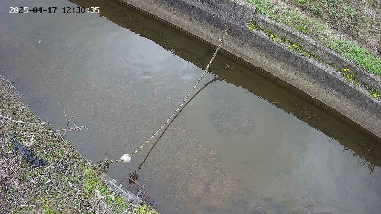 area10-20250417123036.jpg
