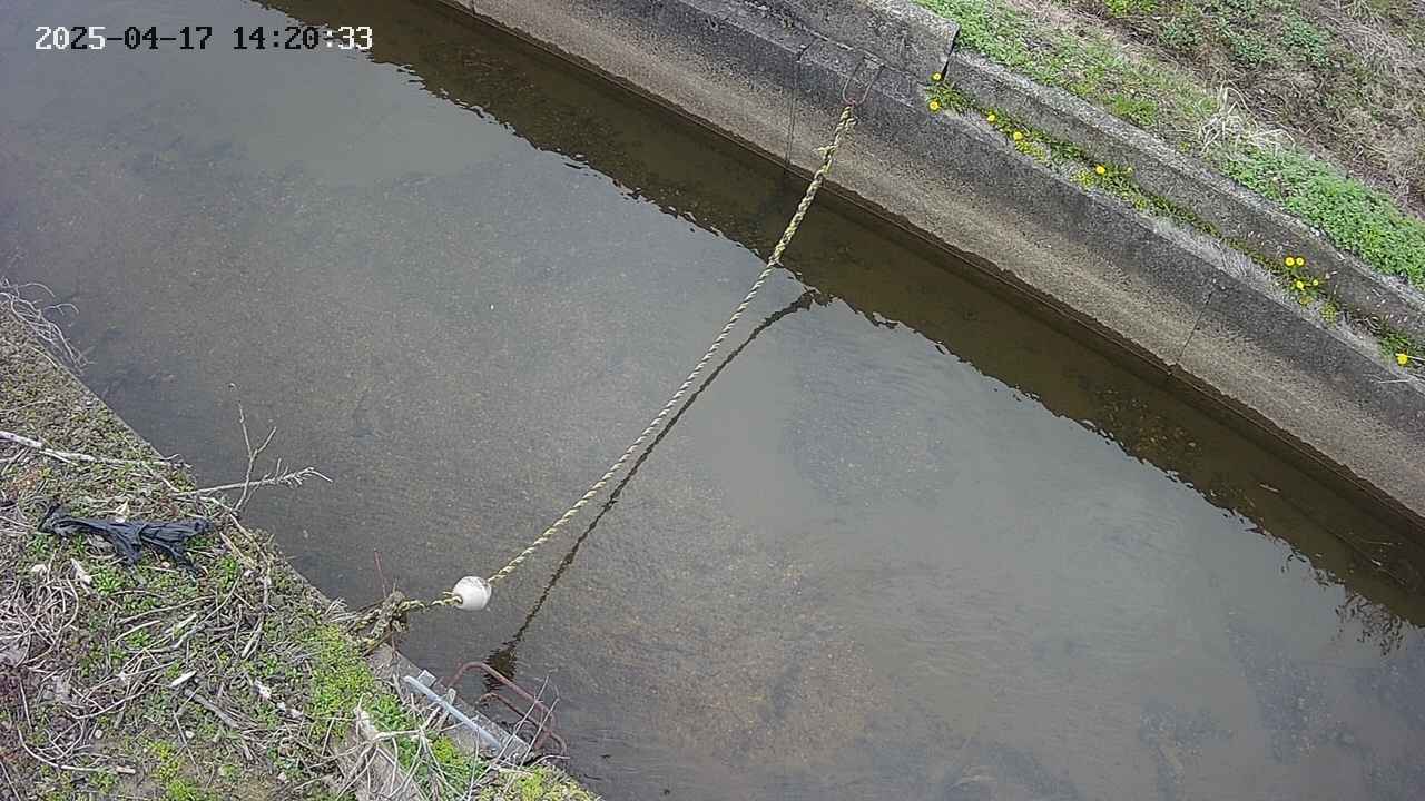 area10-20250417142034.jpg