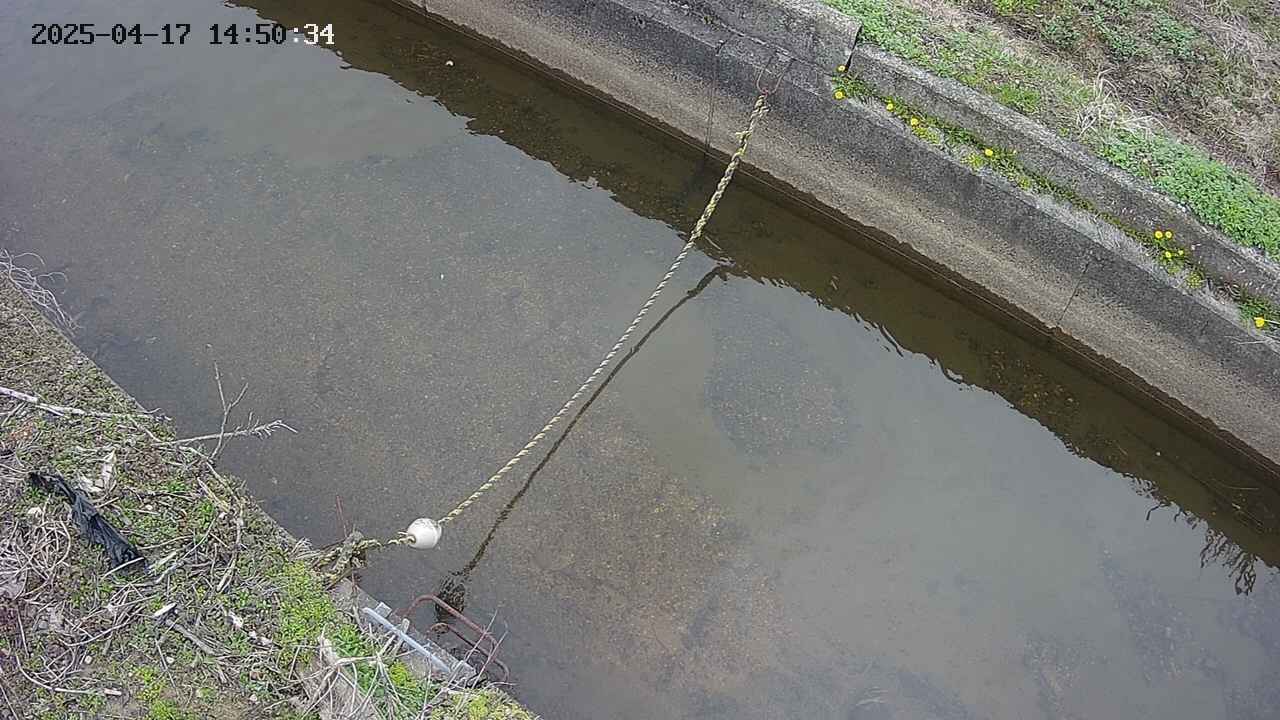 area10-20250417145035.jpg