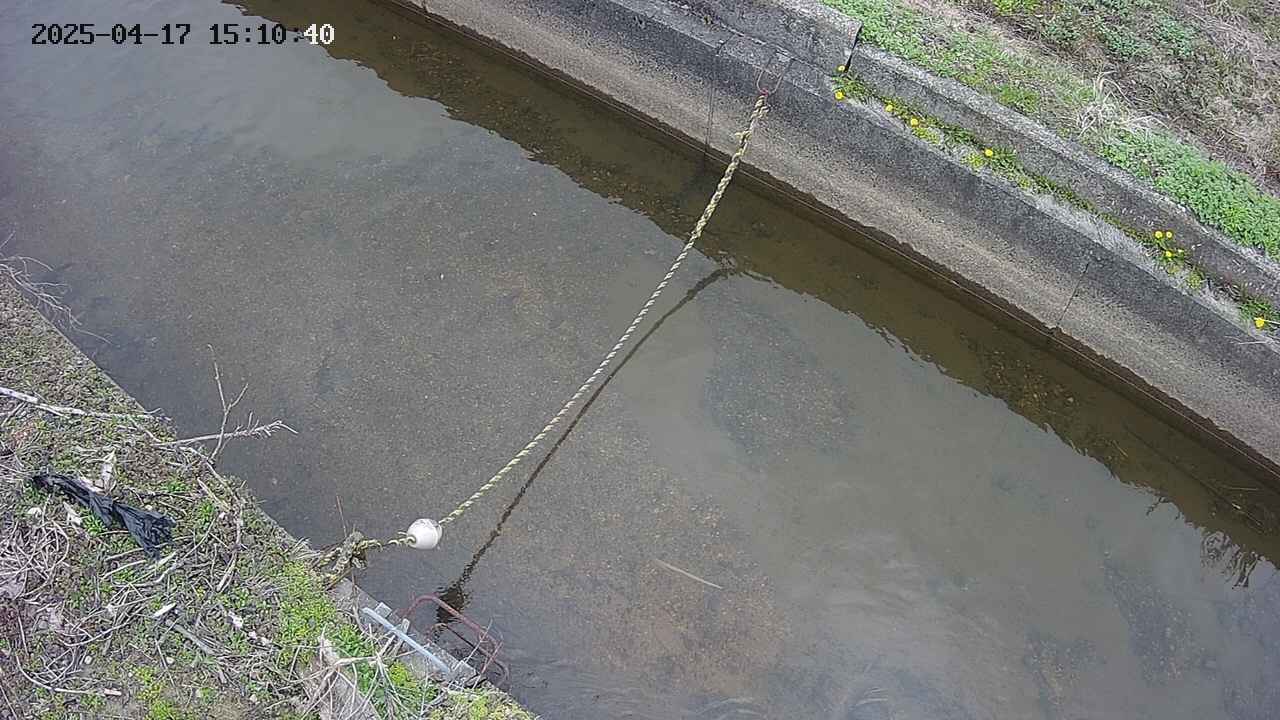 area10-20250417151045.jpg