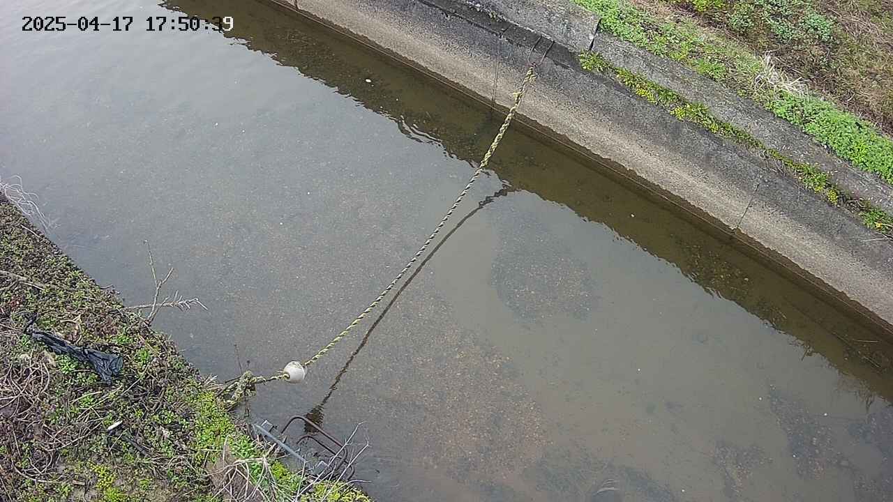 area10-20250417175039.jpg
