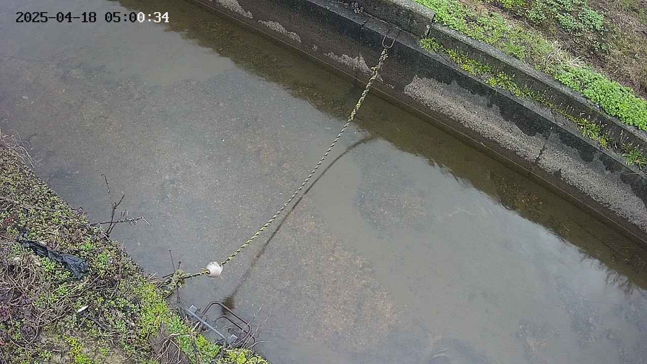area10-20250418050035.jpg
