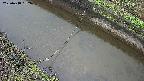 area10-20250418052034.jpg