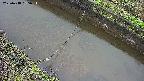 area10-20250418055035.jpg