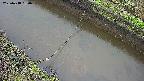 area10-20250418060034.jpg