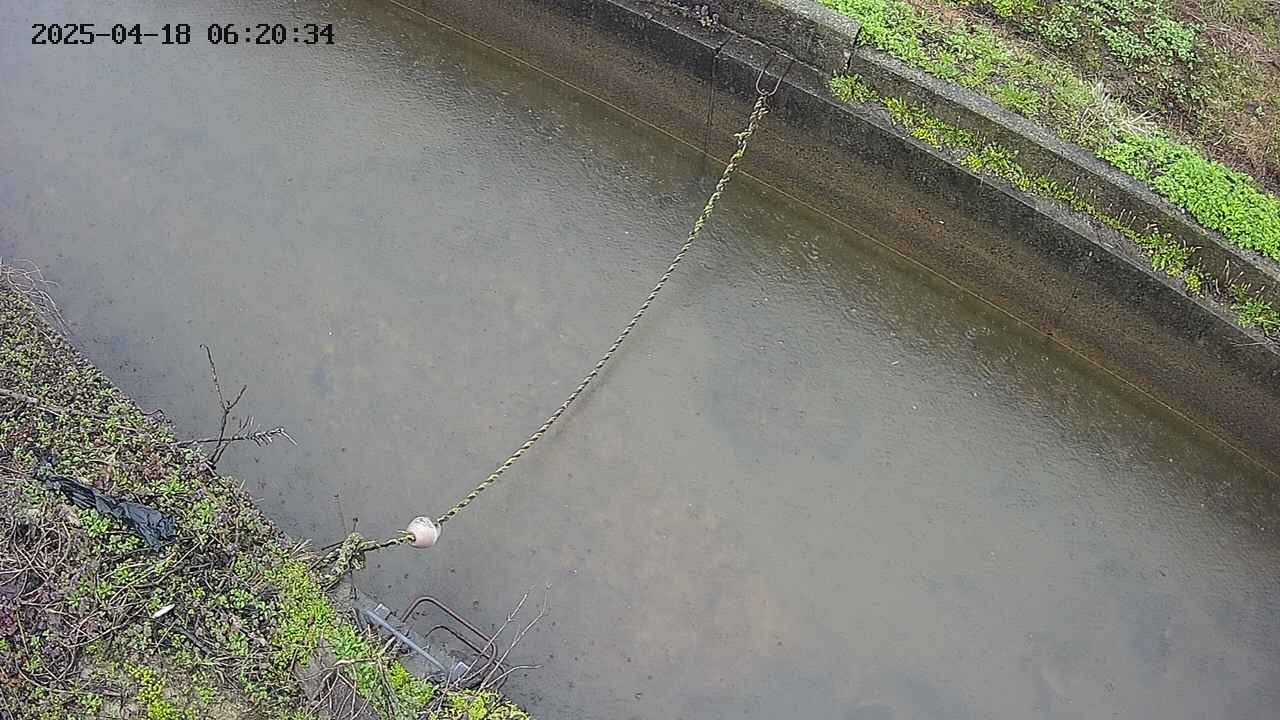area10-20250418062034.jpg