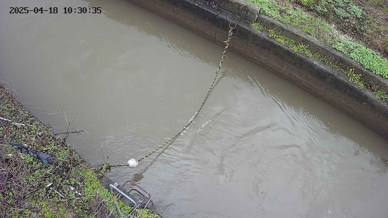 area10-20250418103036.jpg