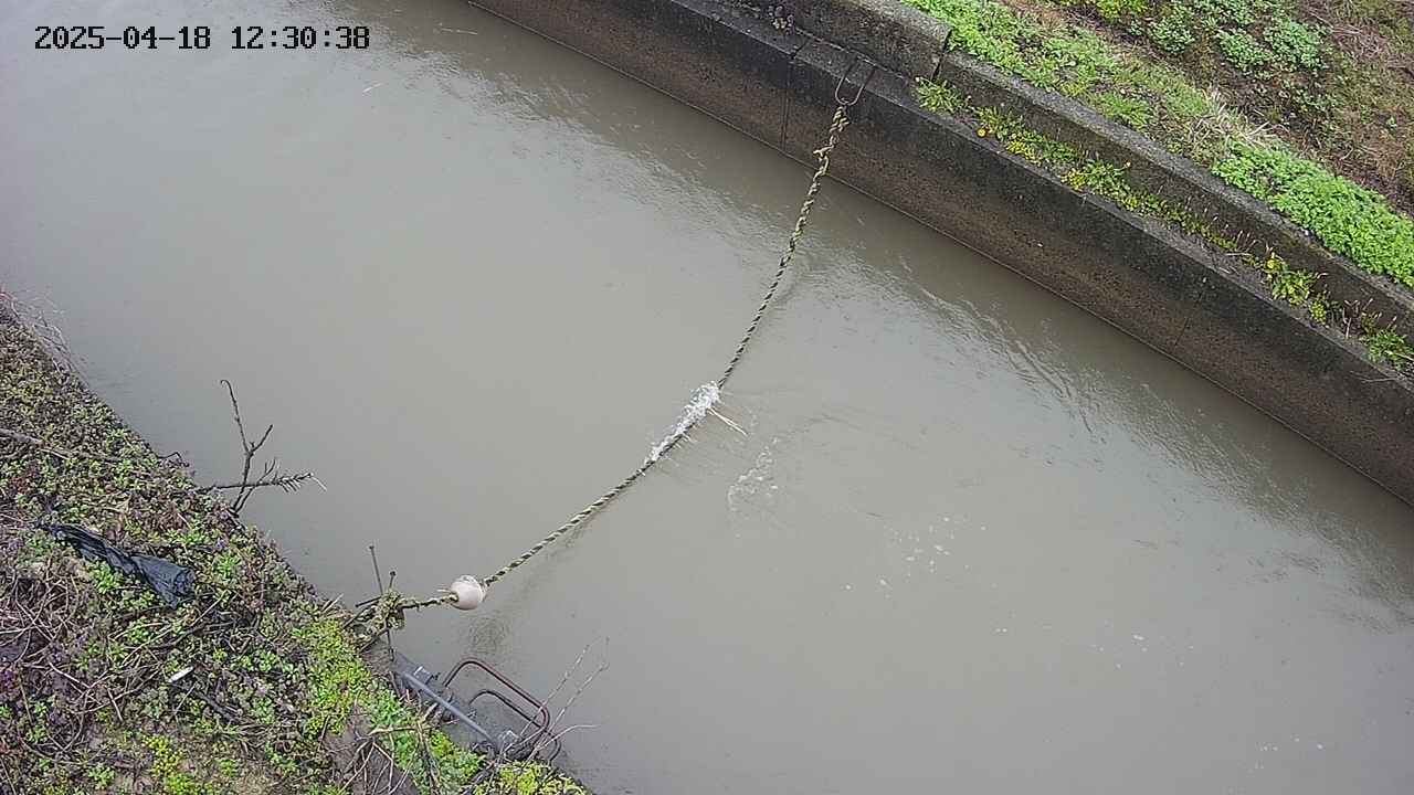 area10-20250418123040.jpg