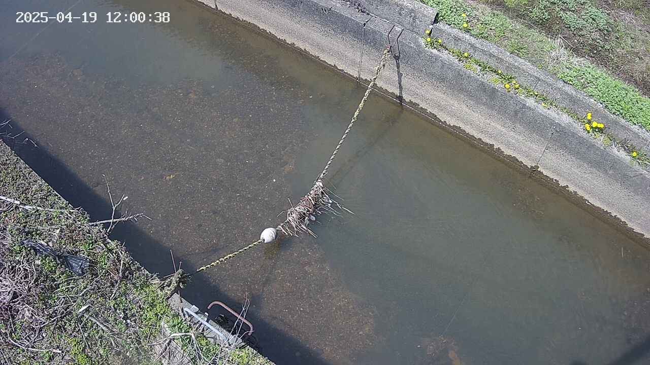 area10-20250419120039.jpg