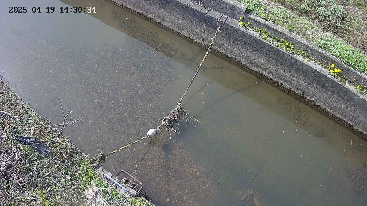 area10-20250419143035.jpg
