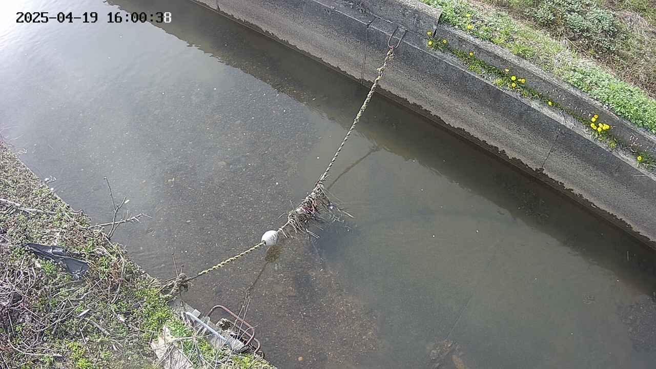 area10-20250419160039.jpg