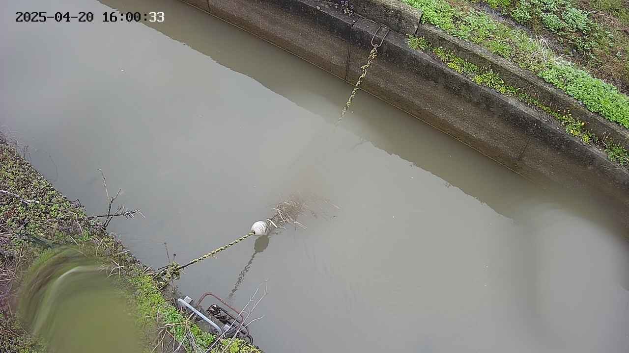 area10-20250420160034.jpg