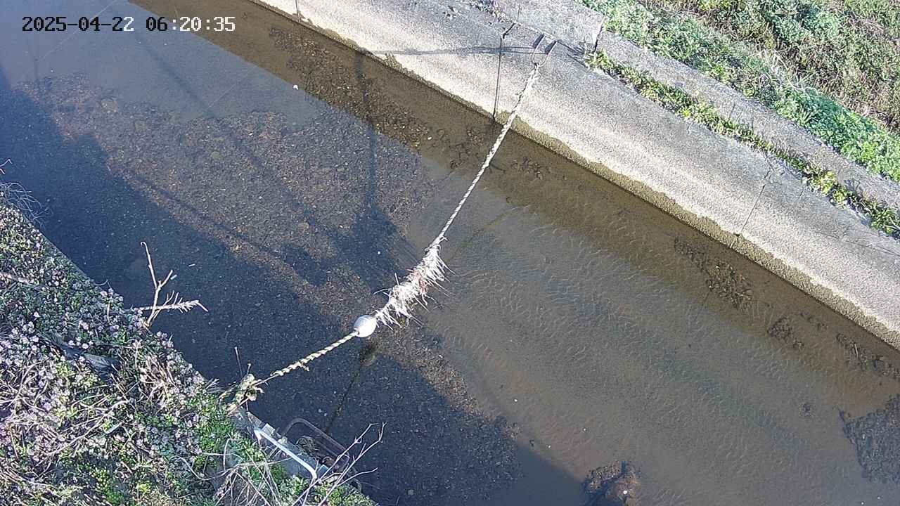 area10-20250422062036.jpg