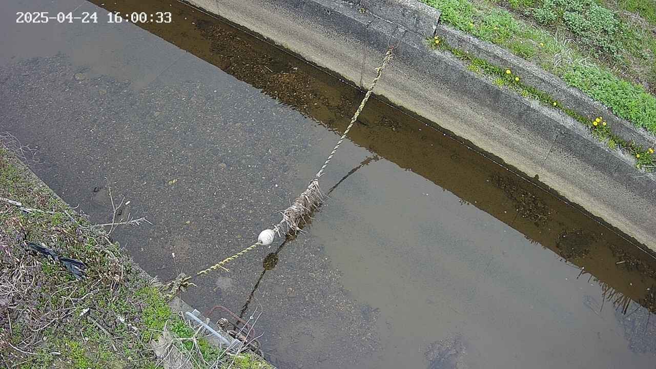 area10-20250424160035.jpg