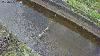 area10-20250425130037.jpg