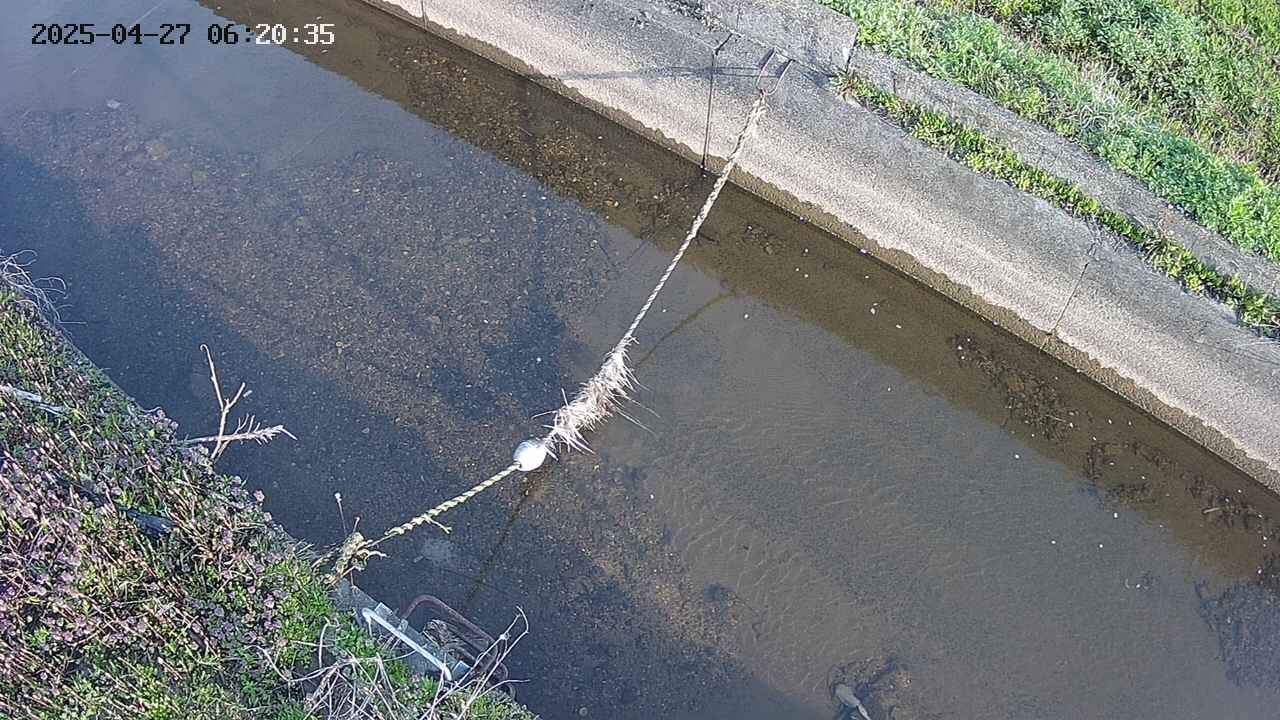 area10-20250427062036.jpg