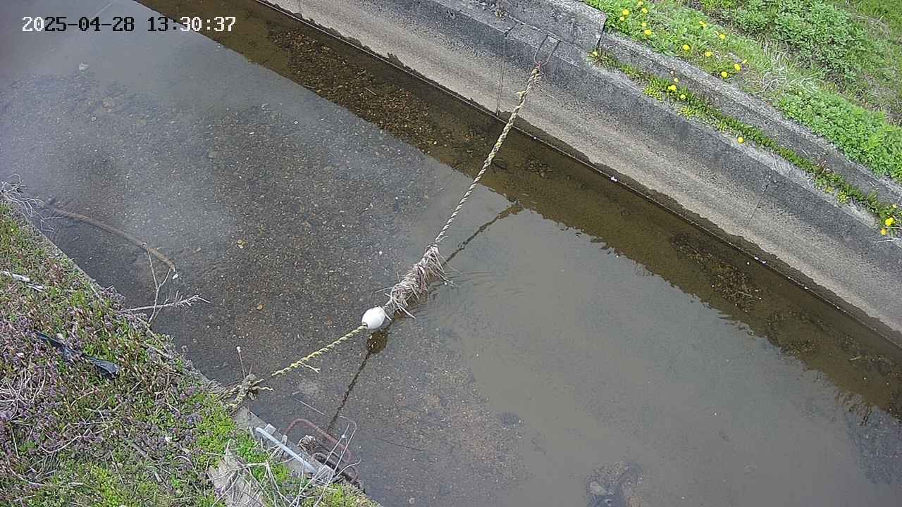area10-20250428133038.jpg