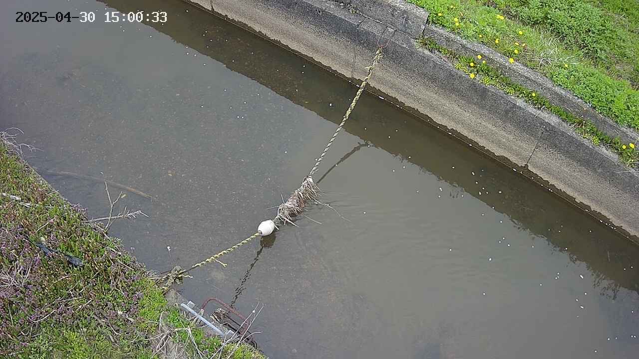 area10-20250430150034.jpg