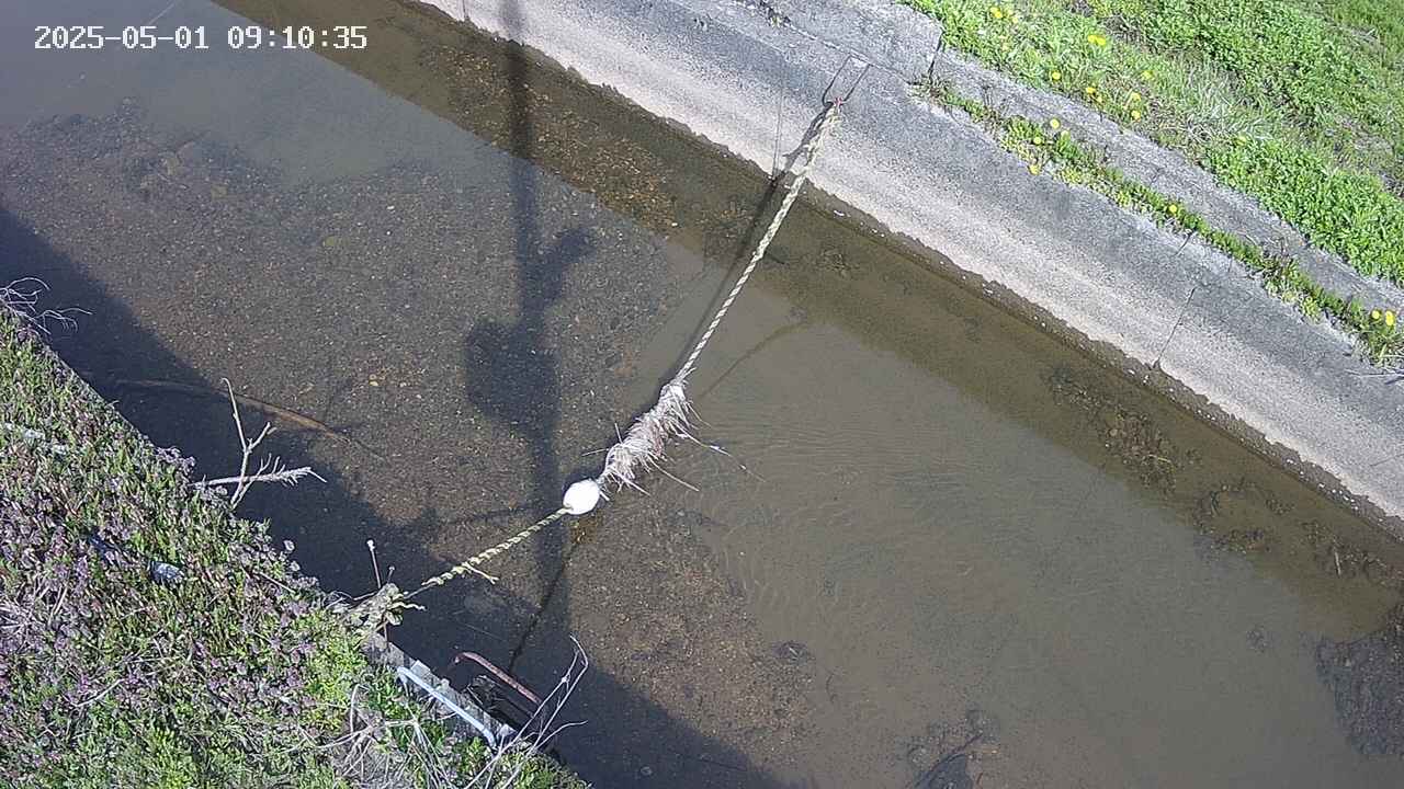 area10-20250501091036.jpg