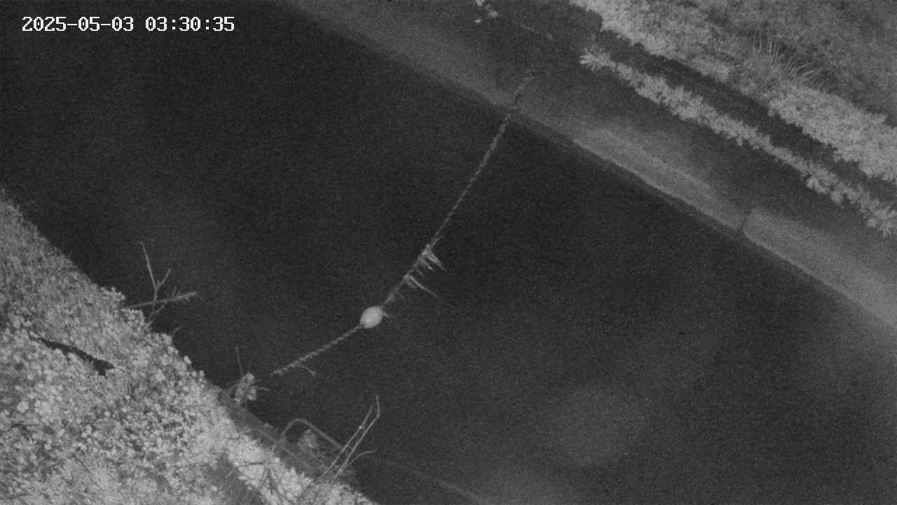 area10-20250503033035.jpg