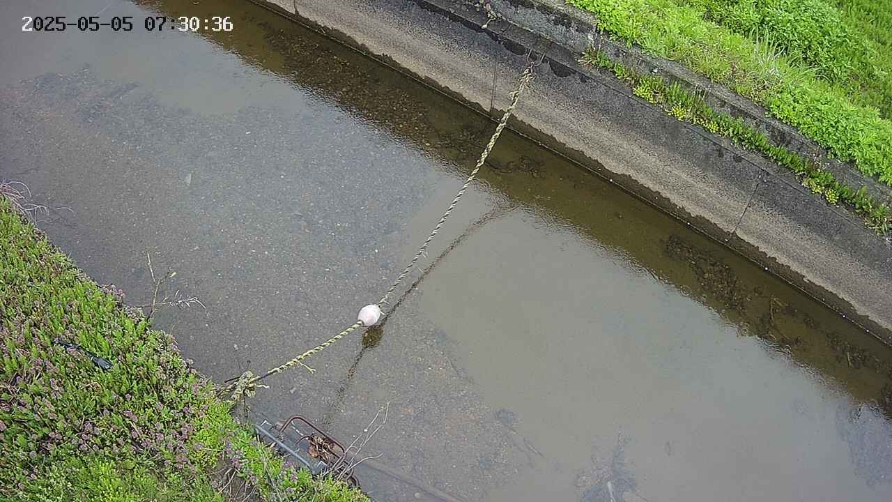 area10-20250505073036.jpg