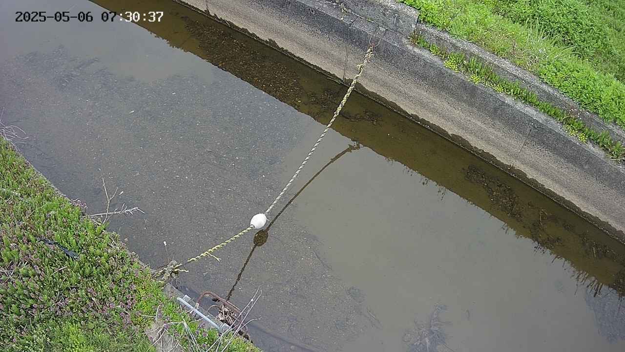 area10-20250506073038.jpg