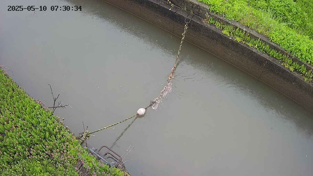 area10-20250510073035.jpg
