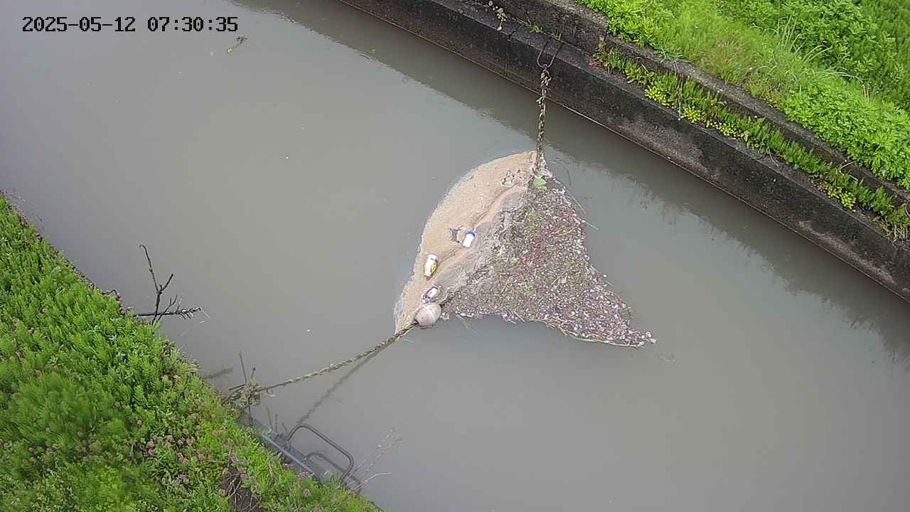 area10-20250512073036.jpg