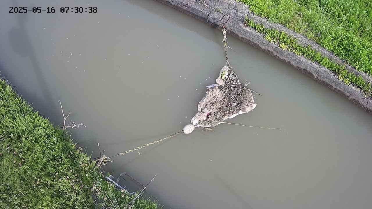 area10-20250516073039.jpg