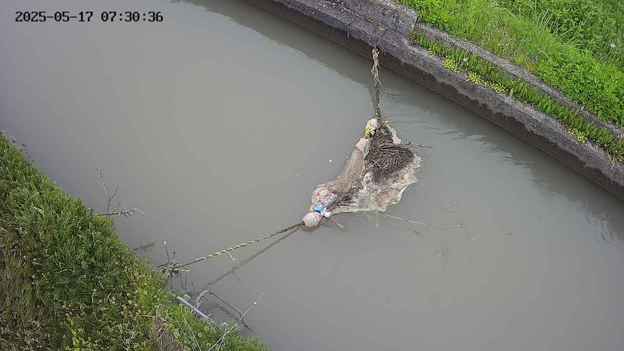 area10-20250517073037.jpg