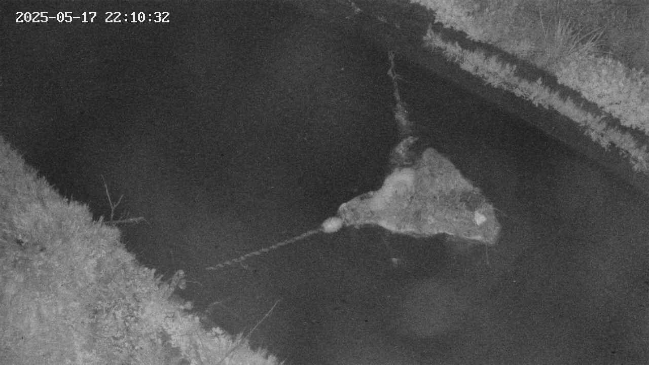 area10-20250517221034.jpg
